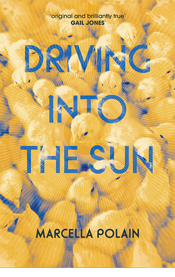 Driving into the Sun – Marcella Polain